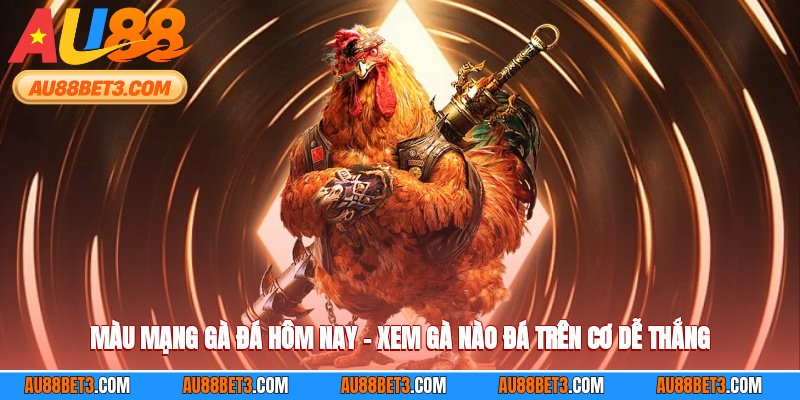 Màu Mạng Gà Đá Hôm Nay – Xem Gà Nào Đá Trên Cơ Dễ Thắng