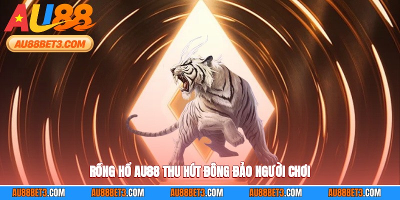 Rồng hổ AU88 thu hút đông đảo người chơi